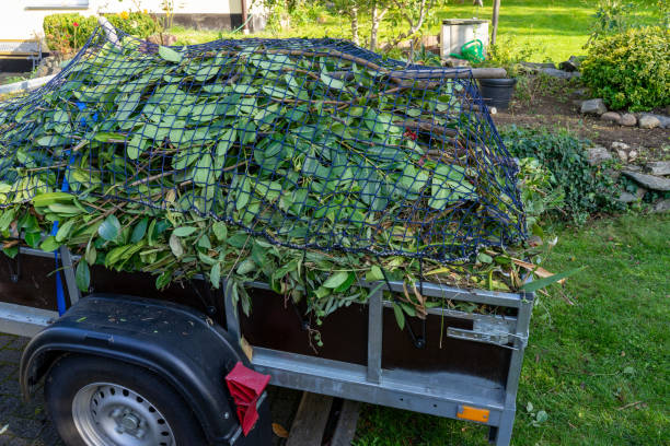 Best Dumpster Rental Services  in Carl Junction, MO